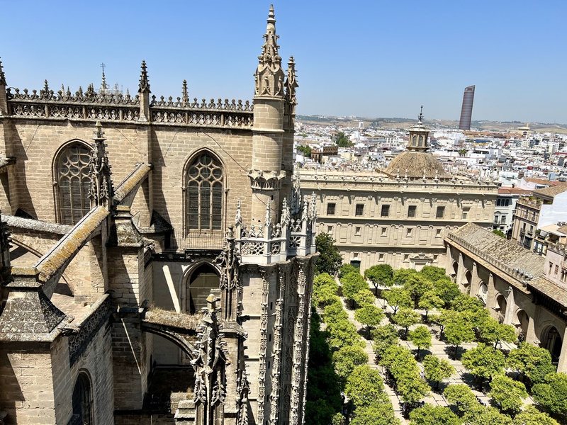 Looking down from the cathedral roofs onto the orange trees of the Patio de los Naranjos.