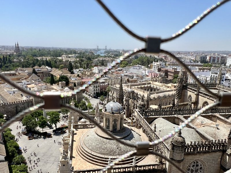 The view from the top of the Giralda through its protective grille, over the cathedral roofs and the city.
